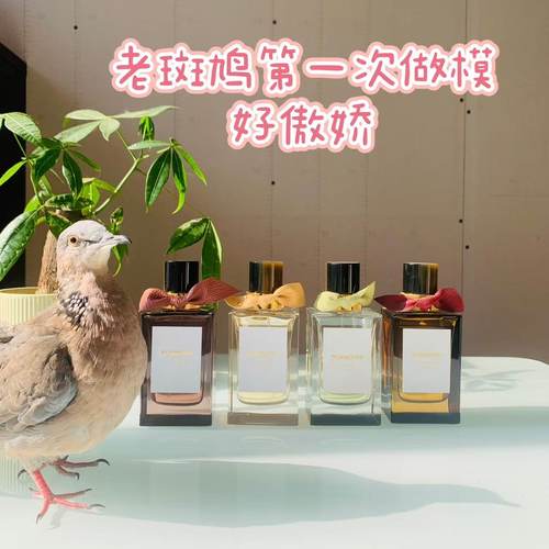 庄园古香漫步温莎子夜奇旅