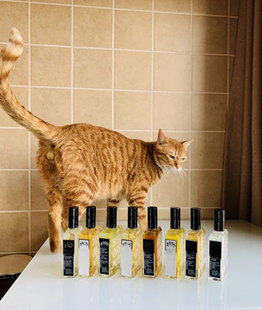 香水故事/海明威/萨德侯爵/魔女玛塔/欧仁妮/乔治桑/高傲