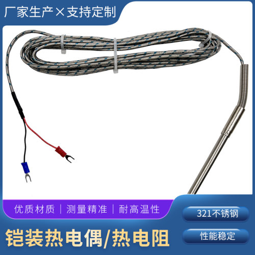 铠装热电偶或热电阻（191型）WRNK-191  WZPK-191热电偶 热电阻