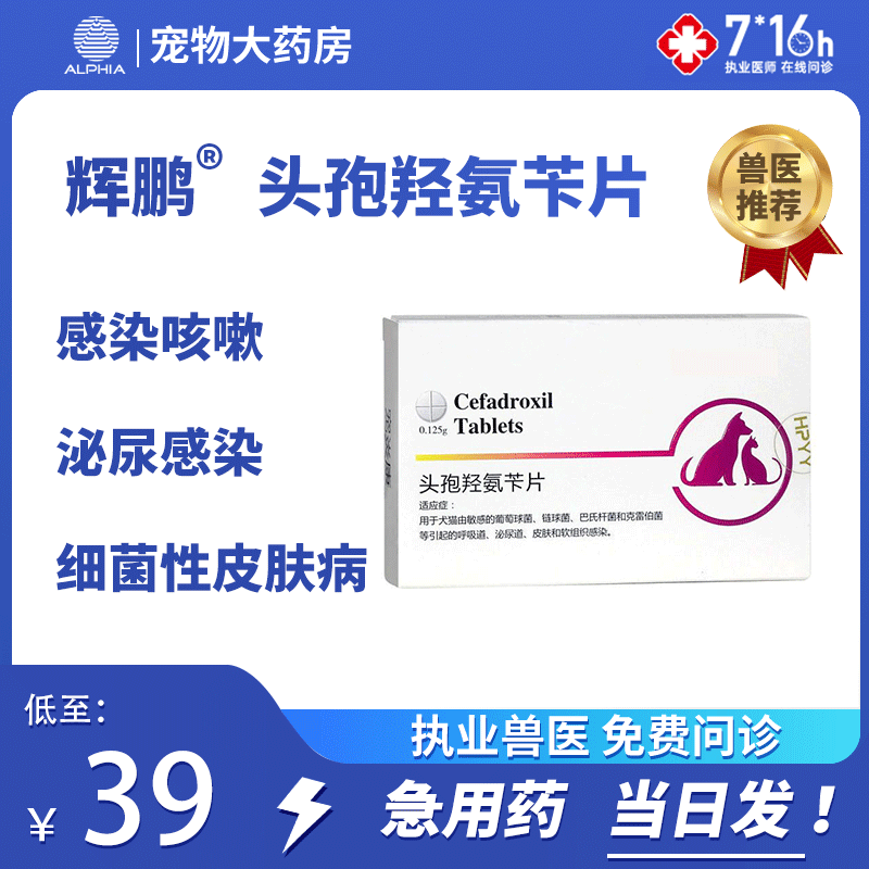 宠物头孢羟氨苄片狗狗细菌真菌螨虫皮炎瘙痒猫咪猫藓皮肤病消炎药