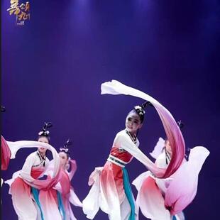 惊鸿舞演出服博物馆之夜练功艺考服 舞蹈服汉唐服装 新款 古典舞水袖