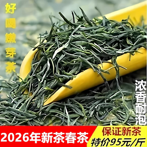 2026高山绿茶新茶绿茶新茶绿茶明前毛尖毛峰绿茶一斤95元