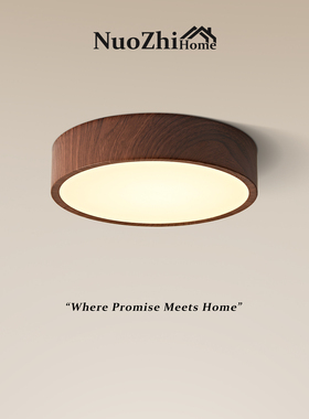 Hoem新中式复古吸顶灯侘寂风走廊过道灯木纹书房阳台灯原木风灯具