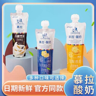 小西牛青海常温酸奶益生菌发酵芝士燕麦青稞果粒酸奶 160g*10袋