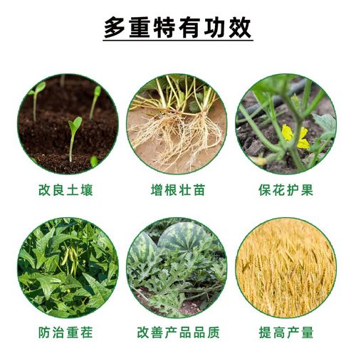蔬菜酵素原液价格 蔬菜酵素原液图片 星期三