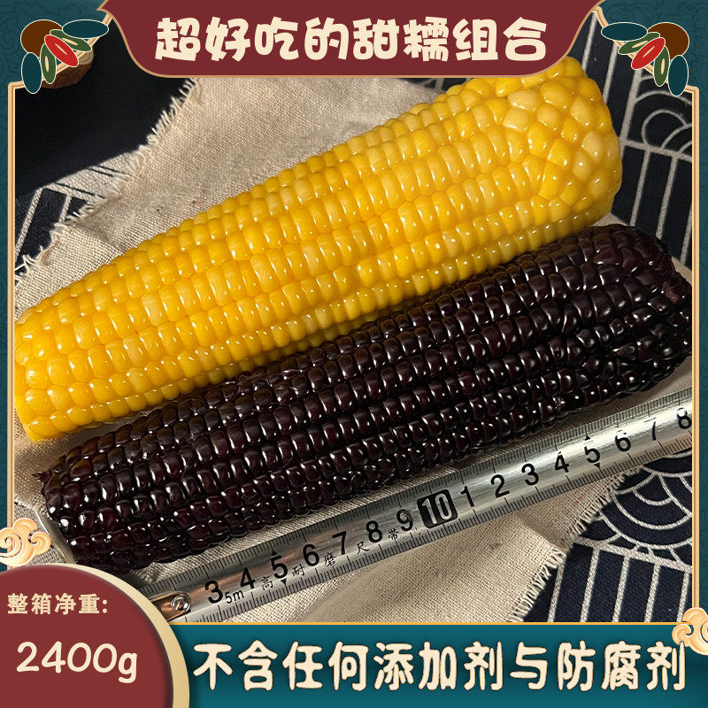 山西青玉甜糯玉米当季新鲜真空黏代餐无添加低脂营养黄黑 混装8根