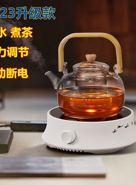 京士顿电陶炉茶炉小型煮茶器玻璃