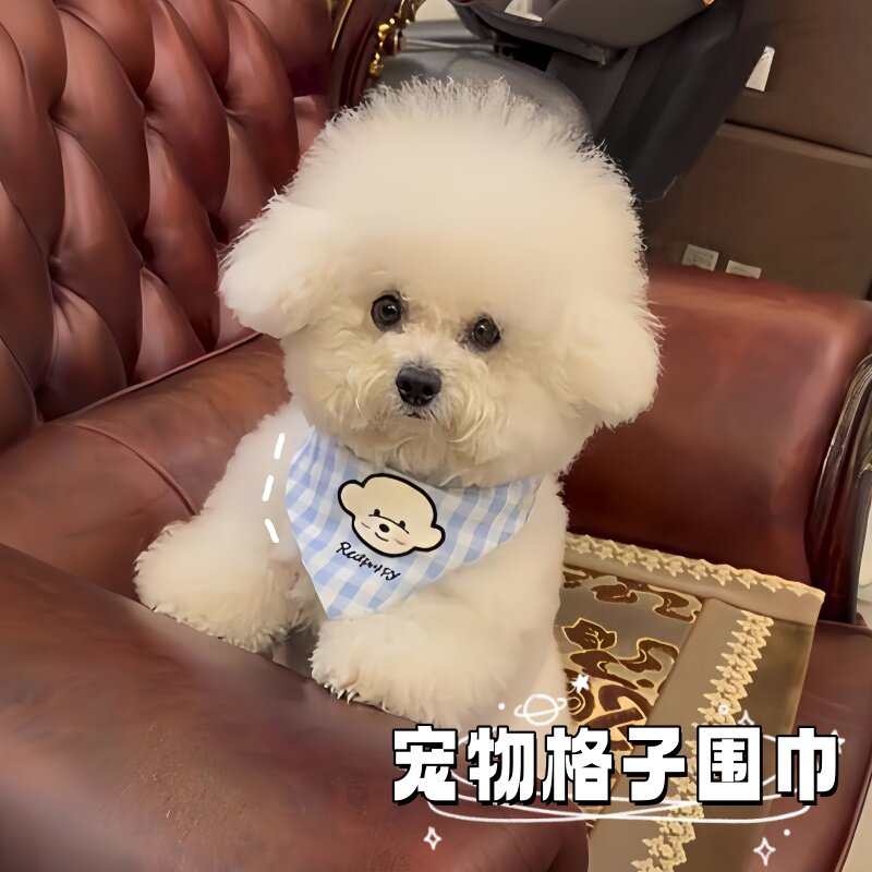 宠物口水巾狗狗三角巾公主风比熊围兜猫咪口水兜小型犬可爱装饰品