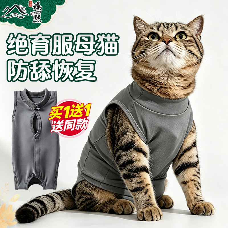 【莫代尔超柔】母猫绝育服断奶服
