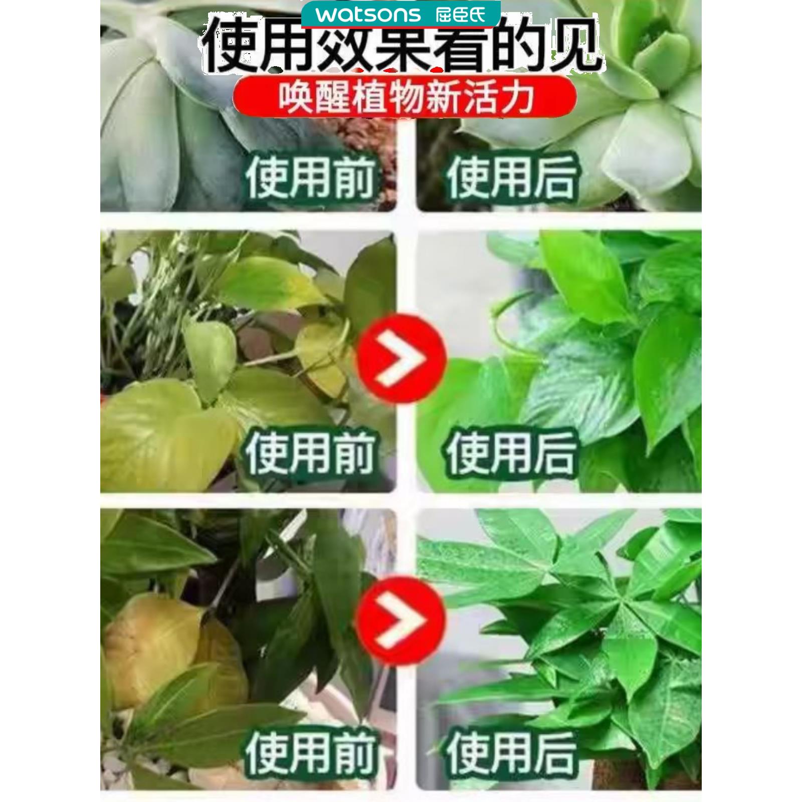 优质植物护理营养液官方旗舰店通用欣喜发财树室内艾尚棵绿植盆栽