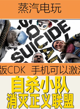 Steam正版 自杀小队 消灭正义联盟 国区激活码 CDKEY 现货秒发