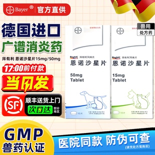 德国拜有利风味片犬猫宠物狗狗猫咪消炎药尿道炎拜恩诺沙星片剂耳