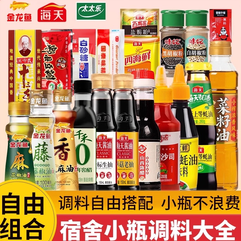 海天宿舍调料组合套小瓶厨房做饭