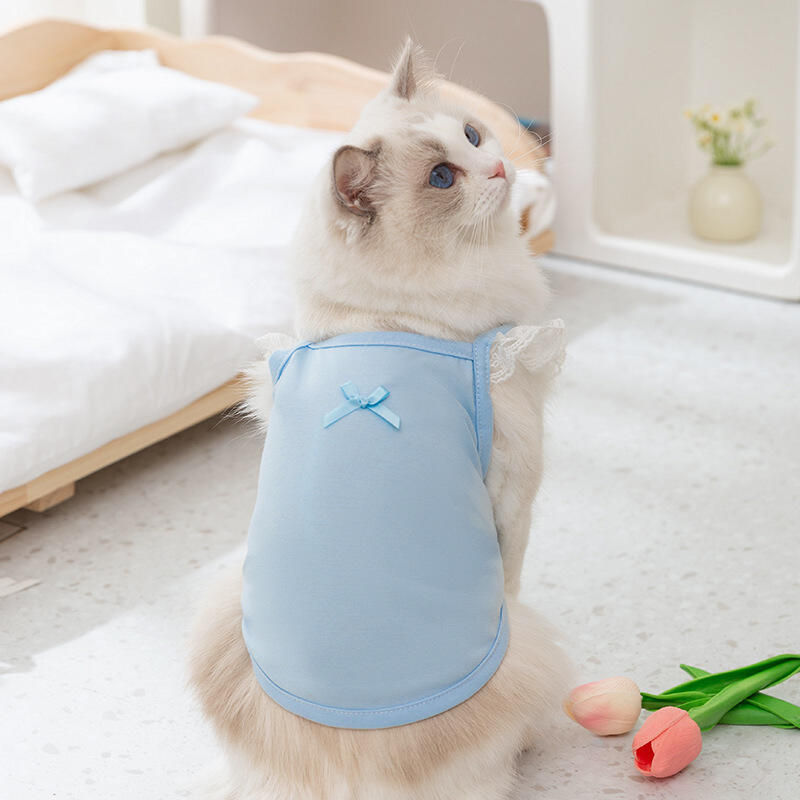 新款糖果色蕾丝小飞袖背心猫猫幼猫小奶猫衣服猫咪吊带两脚衣宠物-封面