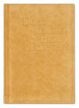 【预售】黄色会永远流行吗? Does Yellow Run Forever? 进口书籍 摄影书籍