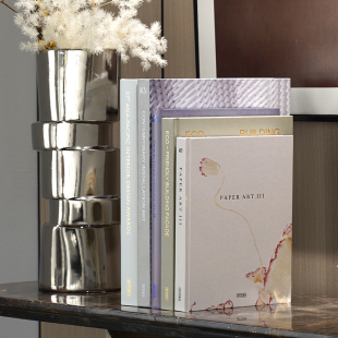 现货设计书籍 室内设计 侘寂风设计 艺术设计 字体设计 家具设计 装置设计 平面设计 现代艺术样板间颜色硬壳精装简约陈设摆件真书