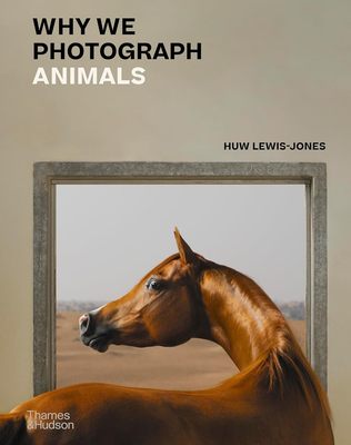 【预售】为什么我们要给动物拍照 Why We Photograph Animals  进口书籍 摄影书籍