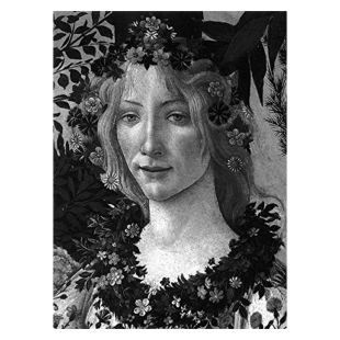 现货 2015 波提切利画册 Classic 费顿大师系列 Botticelli