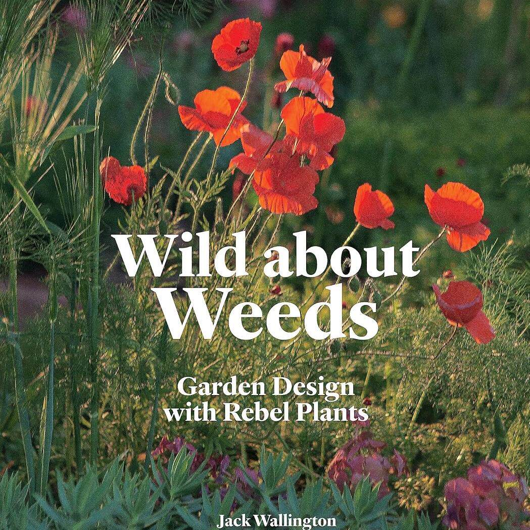 【预售】野草狂想:用叛逆植物进行花园设计 Wild about Weeds 进口书籍 花艺书籍