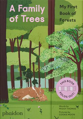 【预售】一家树:我的第一本森林书 A Family of Trees : My First Book of Forests 进口书籍 儿童读物