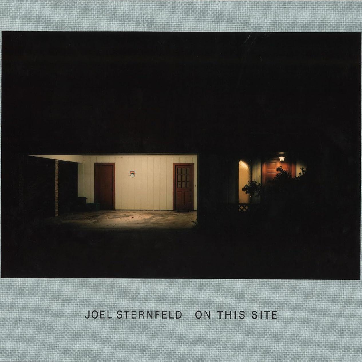 【预售】乔尔·斯滕菲尔德：现场 Joel Sternfeld on this site 进口书籍