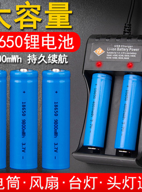 18650锂电池大容量强光手电筒电推剪头灯收音机3.7v-4.2v智能快充