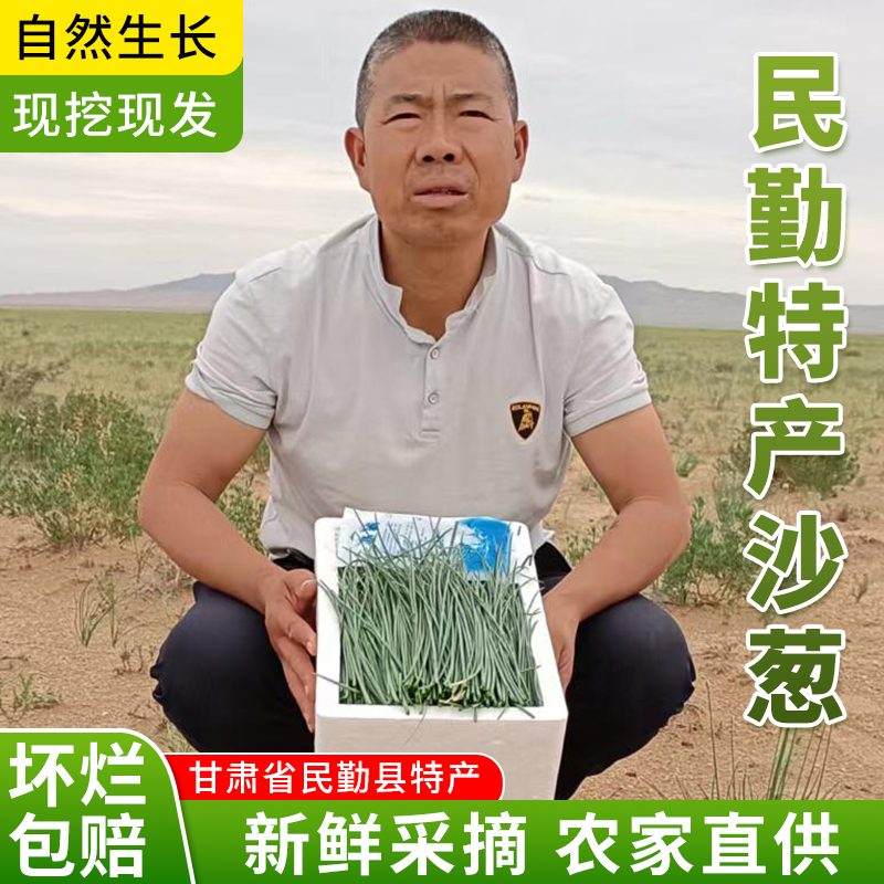 新鲜沙葱甘肃民勤特产野菜农家菜饺子馅料炒沙葱饭店火锅菜-封面