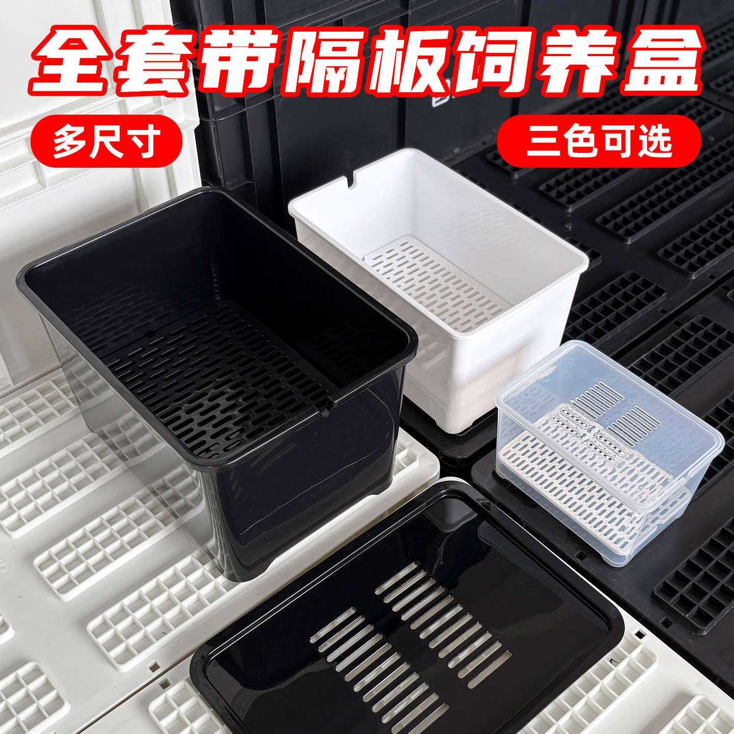 乌龟发色盒幼龟孵化饲养套盒含