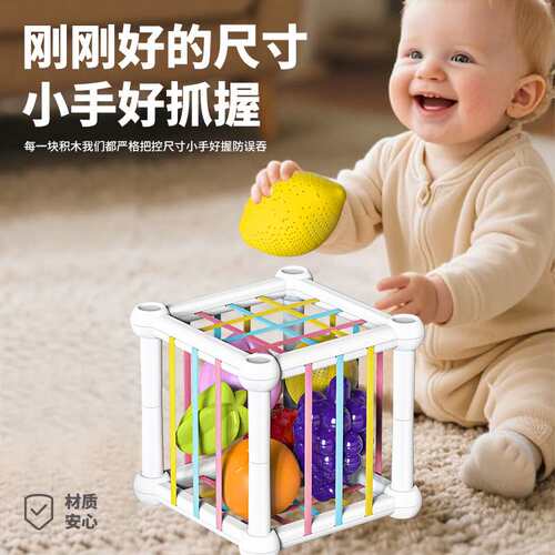 婴儿塞塞乐0一1岁宝宝手指精细玩具6个月以上新生六7益智8早教9幼