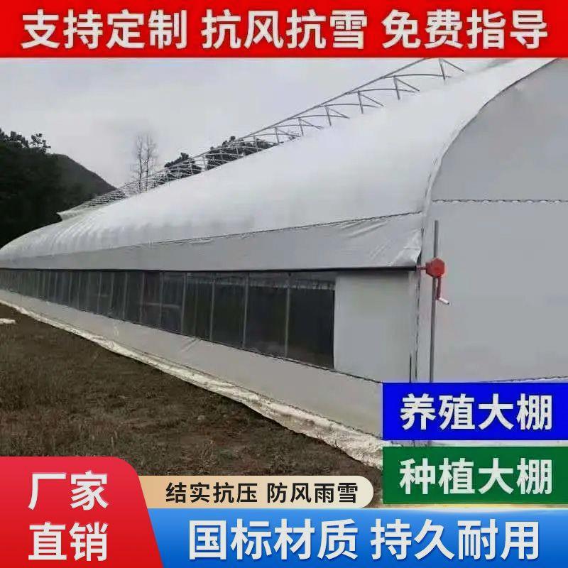 养殖大棚全套养鸡棚鸡舍猪棚牛棚羊棚鸭棚鹅棚养殖棚专用大棚骨架