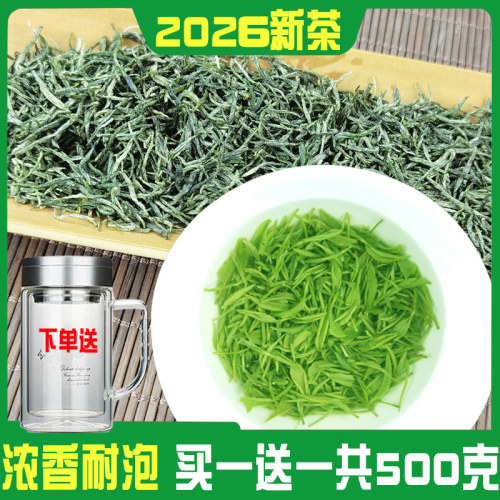 买一送一500g浓香型信阳毛尖茶