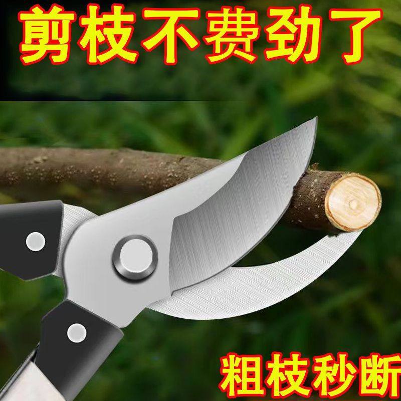 进口钢德国粗枝剪省力修枝剪刀园艺修花木果嫁接园林婚庆花店剪刀