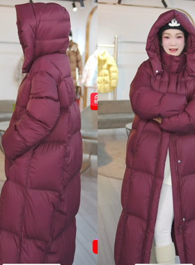 【春春Spring】3108长款鹅绒服