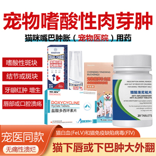 猫咪嗜酸性肉芽肿兽用药猫口炎嘴唇肿胀下巴红肿泼尼松龙环孢素片