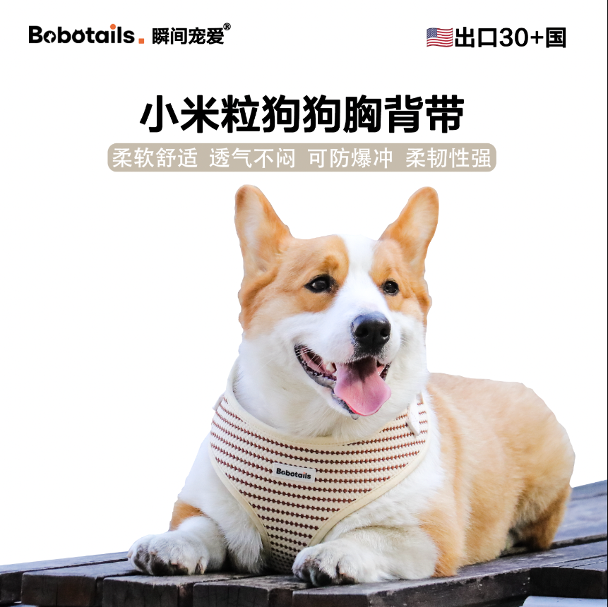 四季透气款狗狗胸背带柯基柴犬