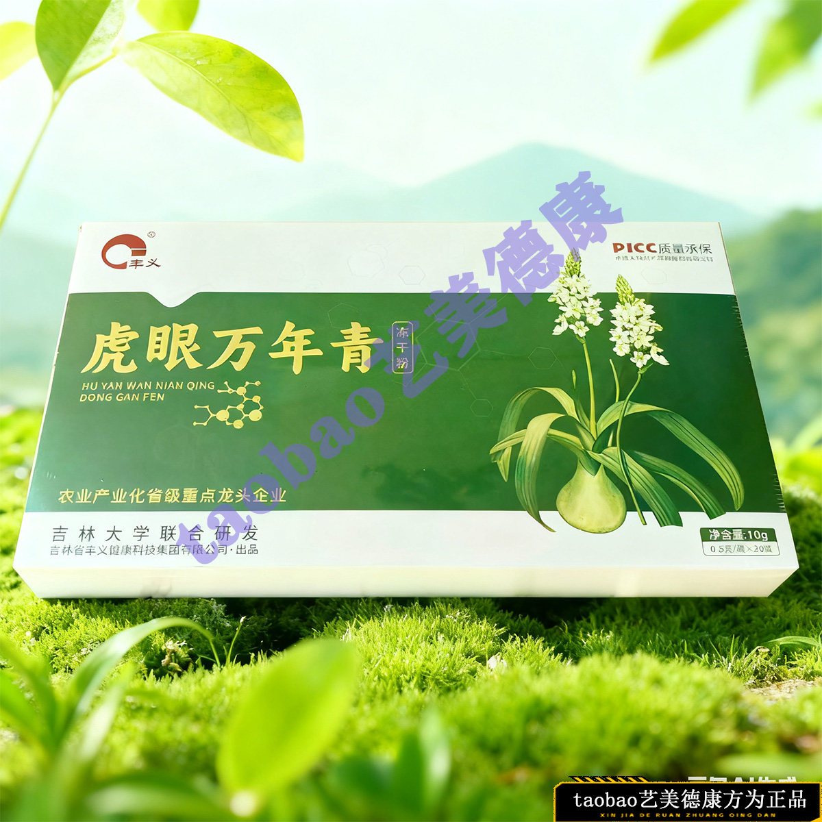 丰义虎眼万年青冻干粉10g