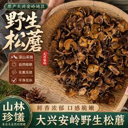 大兴安岭野生松蘑2026新货无硫磺无添加炖鸡煲汤菌菇干货