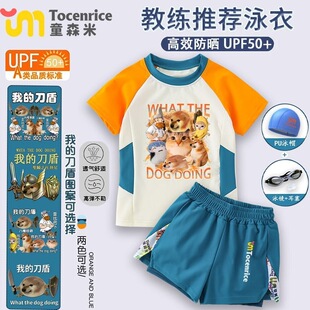 男童游泳衣男孩防晒游泳趣味印花 泳衣套装 我 刀盾狗儿童分体短袖