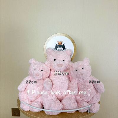 正品现货 英国JELLYCAT莱奥拉熊 粉色巴塞罗熊 毛绒玩具礼物