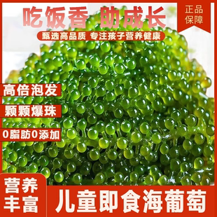 儿童海葡萄即食绿色鱼子酱泡发小孩吃 新鲜盐渍官方旗舰店