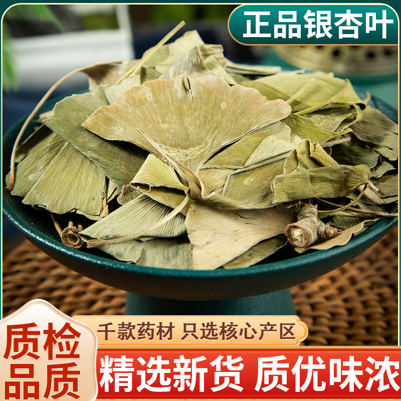 银杏叶中药材500克 银杏叶茶正品新货 白果叶银杏叶干货整片泡茶