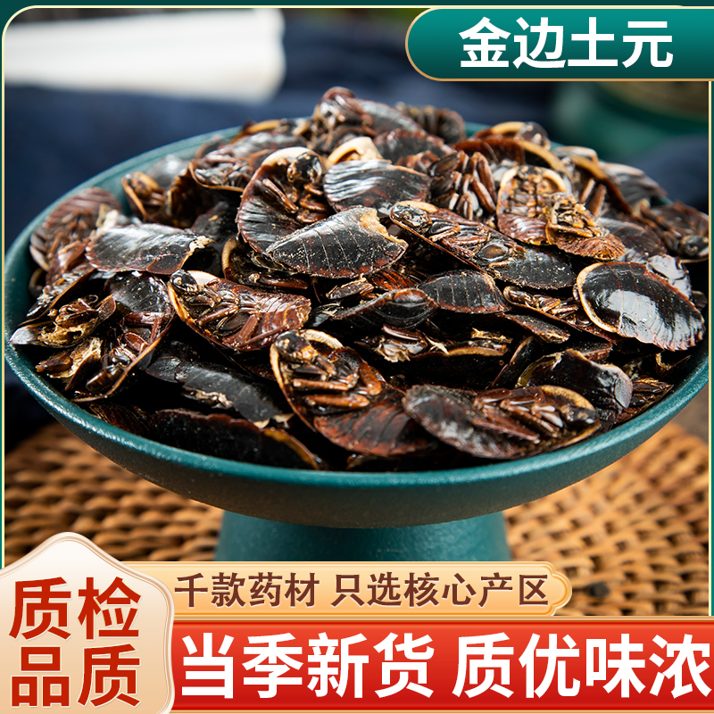 中药材金边土鳖虫250g新货土别非中华土元地乌龟金边土元地鳖粉
