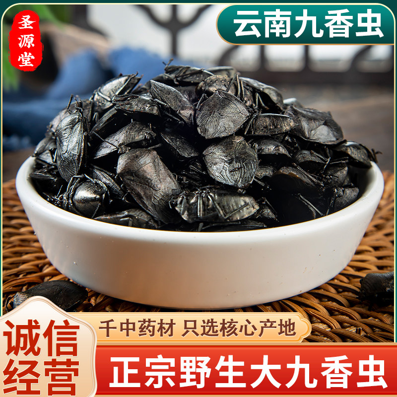 中药材特级九香虫 正品新货云南打屁虫屁巴虫臭壳子虫25克包邮