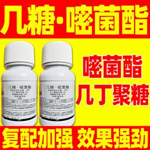 几丁聚糖嘧菌酯霜霉病专用药黄瓜霜霉病杀菌剂正品