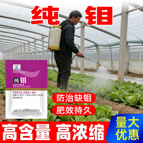 纯钼肥冲施肥叶面肥农用正品