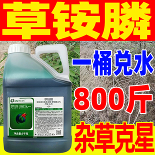 除草剂草铵磷果园地牛筋精草烂草安膦杀草剂根药 草铵膦草胺磷正品