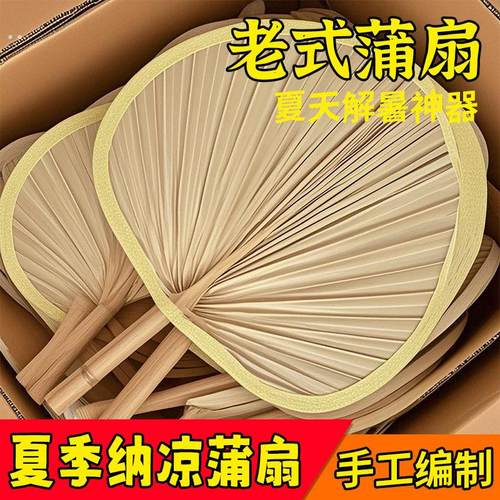 扇子大芭蕉扇子老式家用济公扇葵扇新款蒲扇夏季舞蹈烧烤扇蒲草扇