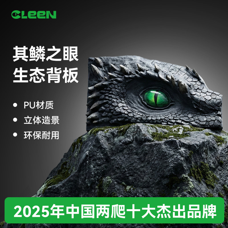 其鳞之眼3D背景板爬宠缸造景图片