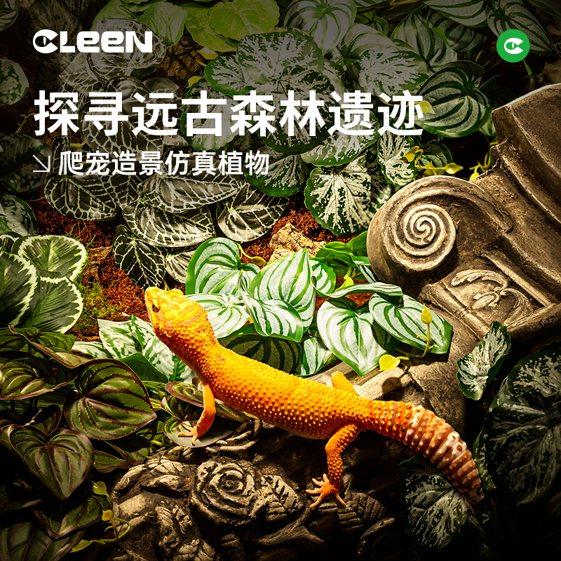 Cleen其鳞高仿真造景绿植