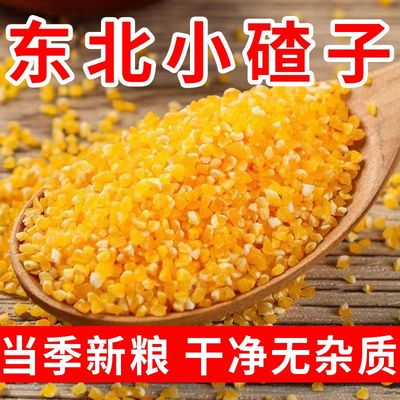 玉米碴小碴子玉米渣苞米糁农家棒碴子粥棒子糁玉米糁粗粮五谷杂粮